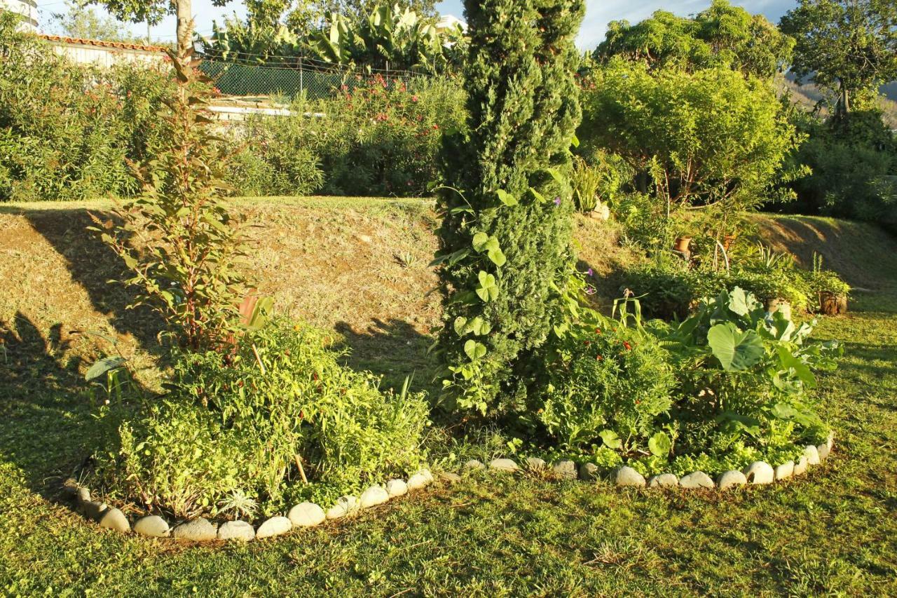 Rochas Shared Apart Garden Refuge فونشال المظهر الخارجي الصورة