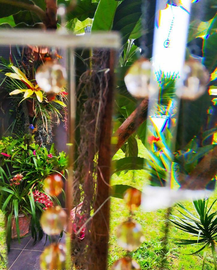 Rochas Shared Apart Garden Refuge فونشال المظهر الخارجي الصورة